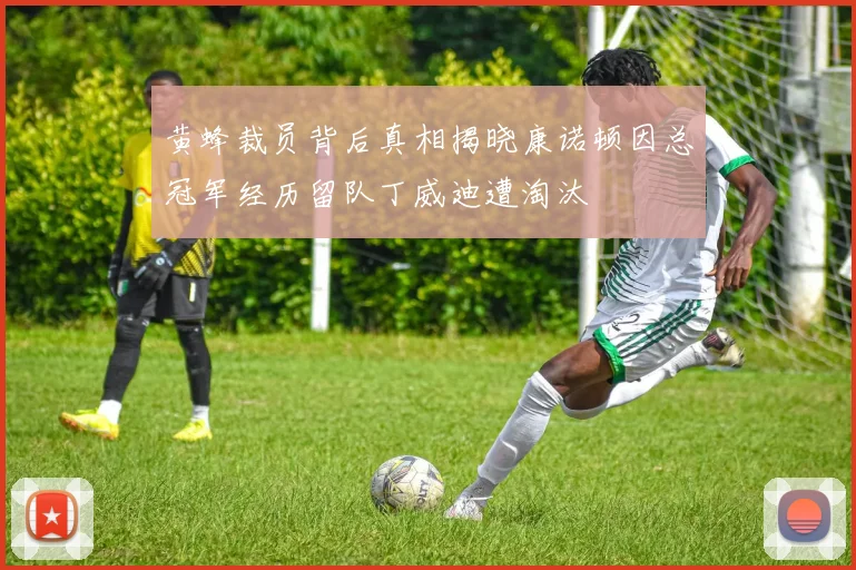 黄蜂裁员背后真相揭晓康诺顿因总冠军经历留队丁威迪遭淘汰