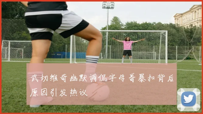 武切维奇幽默调侃字母哥暴扣背后原因引发热议