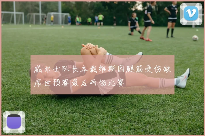 威尔士队长本戴维斯因腿筋受伤缺席世预赛最后两场比赛
