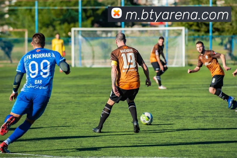 B体育平台生态图