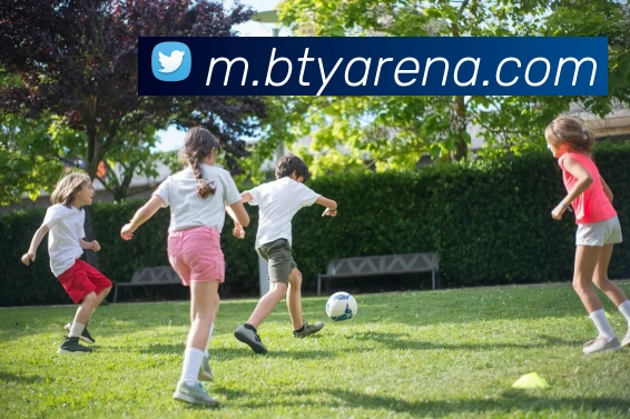 B体育APP 封面图